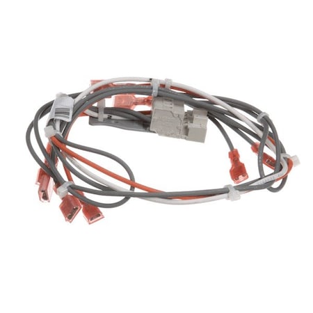Blodgett Harness, Sh1G/Ab, Contro L 24V 39234